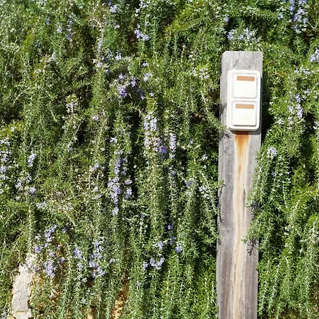 Suau Dalt Вілла Порт-де-Польєнса