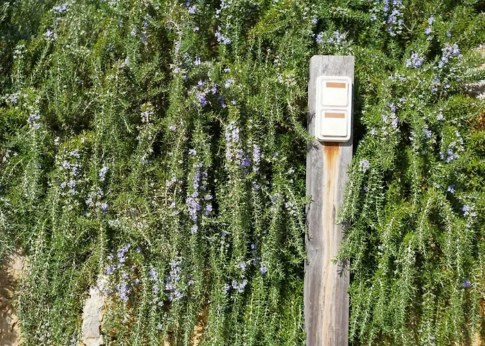 Suau Dalt Villa Puerto Pollensa